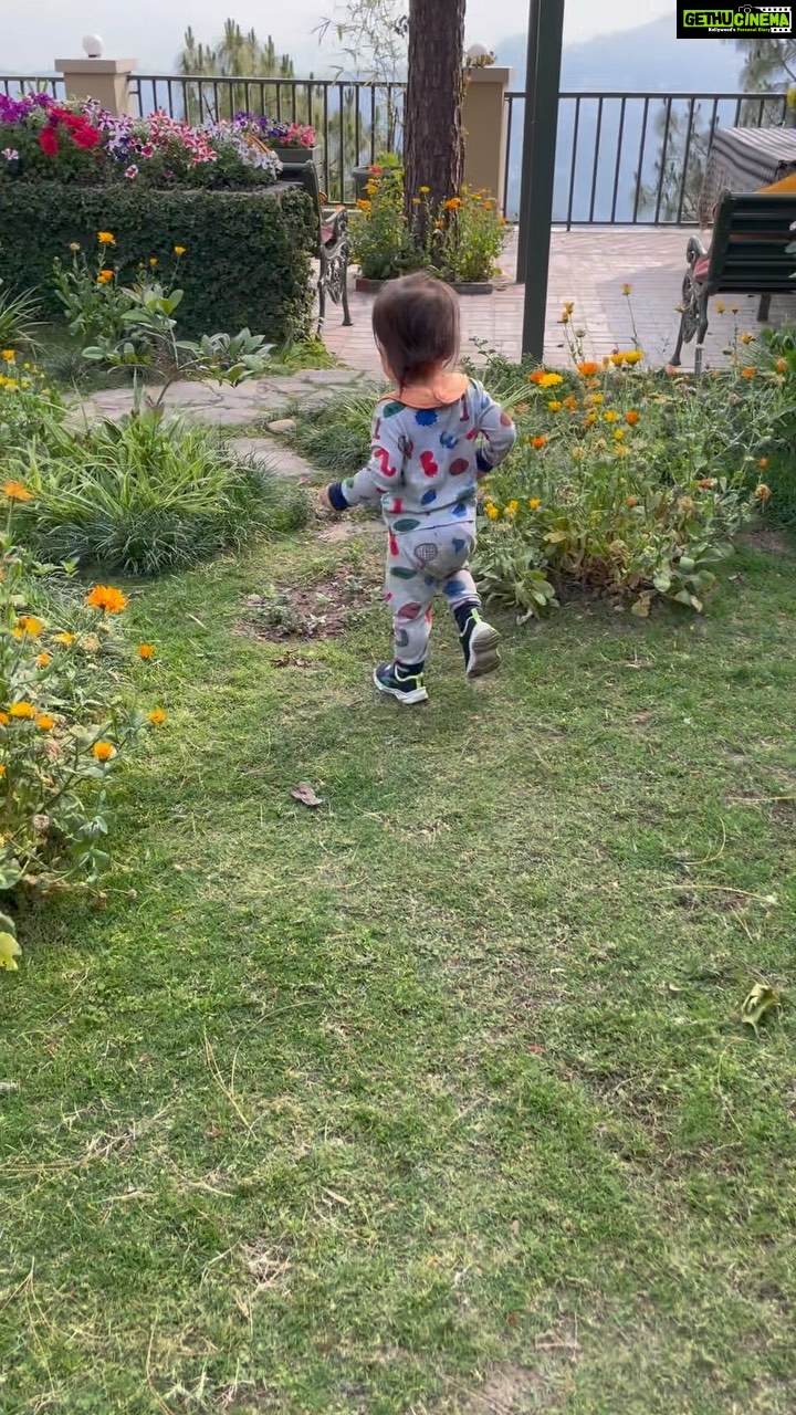 Preity Zinta Instagram - My kind of heaven ❤️ The last couple of days have been amazing. Mountains, family, clean air & a digital detox. No better sound than hearing …. mama … mama for the first time from the kiddos. This really is heaven 😍 #ting Himachal Pradesh