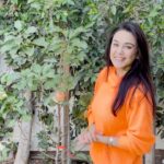 Preity Zinta Instagram - I discovered gardening during the pandemic. It was what gave me a sense of security, happiness & hope. All the plants n trees featured in my Ghar Ki Kheti videos were planted during that time. This is what my Pink Lady Apple tree looks like🍎 This tree is very special to me as it always reminds me of my home in Himachal. Here’s to being proud of your roots & never forgetting where you come from ❤️ #Gharkikheti #organicgardening #appletree #ting