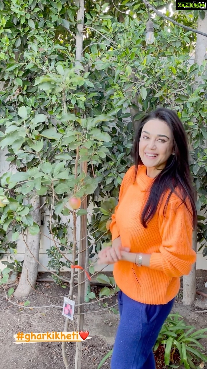 Preity Zinta - 371.7K Likes - I discovered gardening during the pandemic. It was what gave me a sense of security, happiness & hope. All the plants n trees featured in my Ghar Ki Kheti videos were planted during that time. This is what my Pink Lady Apple tree looks like🍎 This tree is very special to me as it always reminds me of my home in Himachal. Here’s to being proud of your roots & never forgetting where you come from ❤️ #Gharkikheti #organicgardening #appletree #ting
