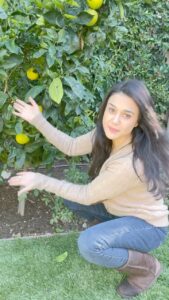 Preity Zinta Instagram - I’m so excited to show you all how much fruit my little navel orange tree has. ये नेवल संतरे का पेड़ छोटू पेड़ हैं लेकिन ये बहुत मोटू फ़्रूट देता है 🤩और इसे देख के मैं बेहद ख़ुश हूँ …. सोचा आप लोगों के साथ शेयर करू 😍 #fruitalicious #gharkikheti #घरकीखेती  #organic #gardening #navelorange #ting