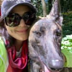 Preity Zinta Instagram - Happy birthday Bruno 💕💕 Now ur a big boy 🐕 #ting #dutchshepherd #dogsofinstagram #3yearsold