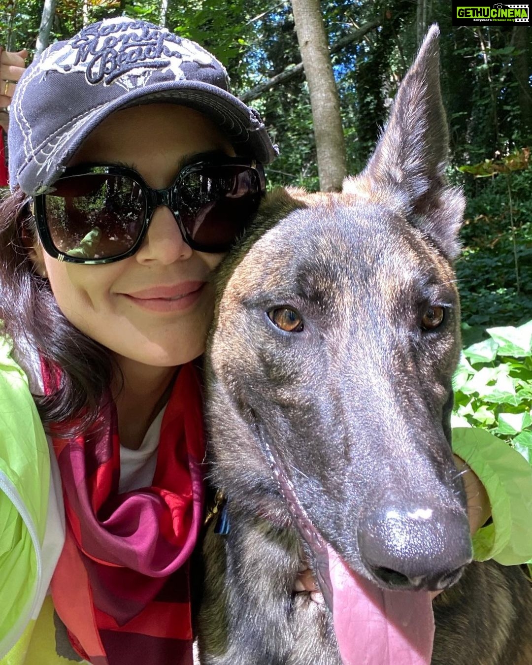 Preity Zinta Instagram - Happy birthday Bruno 💕💕 Now ur a big boy 🐕 #ting #dutchshepherd #dogsofinstagram #3yearsold