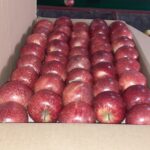 Preity Zinta Instagram - Our first batch of Organic GALA apples from our farm. So proud of my brother for making every effort towards organic farming. It’s been an uphill journey the past 5 years but totally worth it in the end 👏 #galaapples #himachalapples #organicfarming #ting Rohru - HP