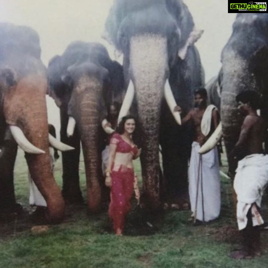 Preity Zinta Instagram - Look what I found ! This was shot on location in Kerala for Dil se ❤️ My first film shoot. I was thrilled to be surrounded by so many elephants. #Jiyajale #Dilse #throwbackthursday #ting Kerala - God's Own Country