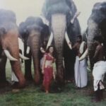 Preity Zinta Instagram - Look what I found ! This was shot on location in Kerala for Dil se ❤️ My first film shoot. I was thrilled to be surrounded by so many elephants. #Jiyajale #Dilse #throwbackthursday #ting Kerala - God's Own Country