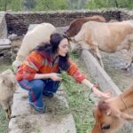 Preity Zinta Instagram - Happy state of mind ❤️ #home #farmlife #family #pahadiswag #backtomyroots #ting U.S.A -Upper Shimla Area