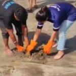 Priya Marathe Instagram - Have walked on a beach many times but cleaned it fr the first time.. Earth day tht is on 22nd APRIL, me @shantanusmoghe @drgirishoak sir with the help of @ravipawar_dmc Sir @mbmc_sbm @mbmconline team , mangroves foundation team did a beach clean up.. on uttan beach. Biggest initiative force was @harshaddhageofficial @forfutureindia NGO who have been dedicatedly doing this selfless work fr last 3 years.. Another NGO which i must mention is @oceanowe who r also consistently doing this fr long time.. Hats off to your dedication and devotion 🙏 I am really looking forward to do this again n again.. as when possible.. Deep sence of satisfaction is wat i felt but longing fr more .. soon i promise 😊