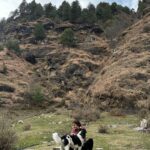 Priyal Gor Instagram – Until next time, Himachal 🤍
#photodump