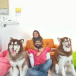 Priyanka Nalkari Instagram - #love #myman #huskiss #lovetowardspets🤗😍😍 #peace #malaysia #posers #pets #happiness @huskiss #nalkarpriyanka #priyankanalkari #roja #seetha #wifelife #eidmubarak Huskiss