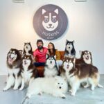 Priyanka Nalkari Instagram - #love #myman #huskiss #lovetowardspets🤗😍😍 #peace #malaysia #posers #pets #happiness @huskiss #nalkarpriyanka #priyankanalkari #roja #seetha #wifelife #eidmubarak Huskiss