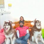Priyanka Nalkari Instagram - #love #myman #huskiss #lovetowardspets🤗😍😍 #peace #malaysia #posers #pets #happiness @huskiss #nalkarpriyanka #priyankanalkari #roja #seetha #wifelife #eidmubarak Huskiss