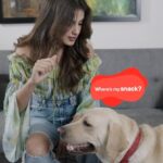 Rhea Chakraborty Instagram - During snack-time, don’t forget to give your pawpals a healthy & delicious treat! And with @droolsindia you have to look no further! Drools Dog Biscuit is a crunchy oven-baked delight that your pet is gonna absolutely love. Made with 100% Real Chicken & Egg, these treats ensure optimum nutrition. Grab a box for your pets now! Drools- Feed Real Feed Clean 🐾 #droolsindia #pets #petfood #pettreats #dogfood #petlovers