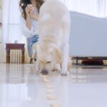Rhea Chakraborty Instagram - If you want to ensure that your furry friend is getting the right nutrients along with a delicious taste, grab a jar of Drools Absolute Calcium Milk Bone! 🦴🦴 @droolsindia #calcium #pets #petfood #pethealth #petnutrition #petlovers #droolsindia