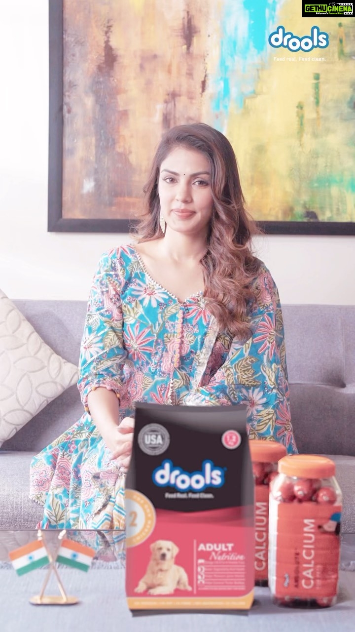 Rhea Chakraborty Instagram - Drools and I wish everyone a Happy 74th Republic Day! Celebrate this special day with @droolsindia a homegrown #makeinindia brand for all your pets needs!