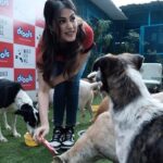 Rhea Chakraborty Instagram – As an animal lover, my heart goes out to the strays who are often subjected to cruelty & neglect. 
I’m so thrilled to have joined hands  with @droolsindia to donate 3 months worth of pet food to World for All Animal Care Canine Centre @worldforallanimaladoptions . Through this initiative we encourage all animal lovers to do their bit in creating a happy & safe environment for the community animals ❤️

#droolsindia #petfood #pethealth #petnutrition #petparents #animallovers #petlovers