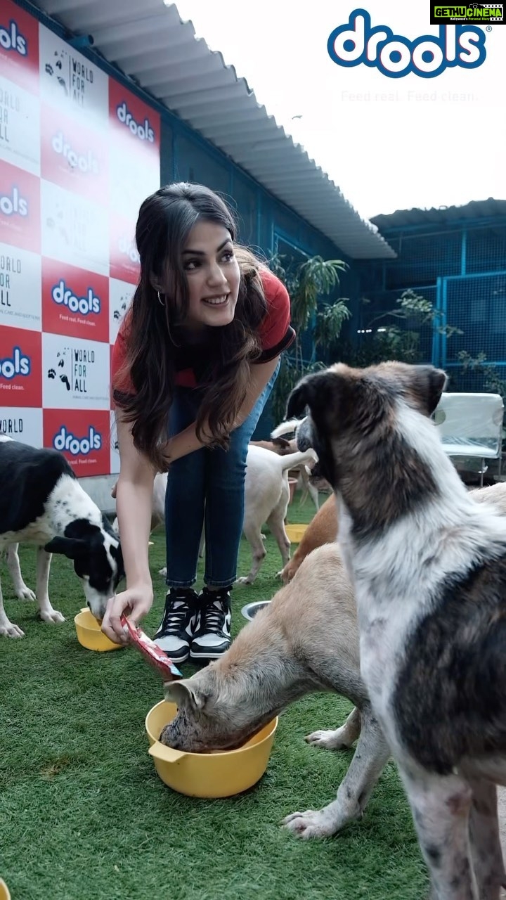 Rhea Chakraborty Instagram - As an animal lover, my heart goes out to the strays who are often subjected to cruelty & neglect. I’m so thrilled to have joined hands with @droolsindia to donate 3 months worth of pet food to World for All Animal Care Canine Centre @worldforallanimaladoptions . Through this initiative we encourage all animal lovers to do their bit in creating a happy & safe environment for the community animals ❤️ #droolsindia #petfood #pethealth #petnutrition #petparents #animallovers #petlovers