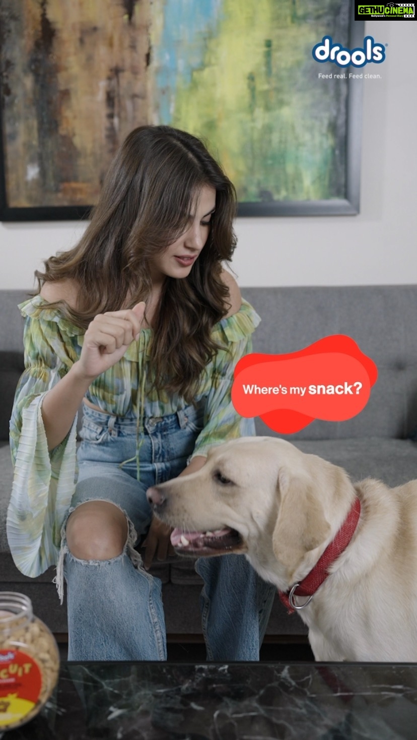 Rhea Chakraborty Instagram - During snack-time, don’t forget to give your pawpals a healthy & delicious treat! And with @droolsindia you have to look no further! Drools Dog Biscuit is a crunchy oven-baked delight that your pet is gonna absolutely love. Made with 100% Real Chicken & Egg, these treats ensure optimum nutrition. Grab a box for your pets now! Drools- Feed Real Feed Clean 🐾 #droolsindia #pets #petfood #pettreats #dogfood #petlovers