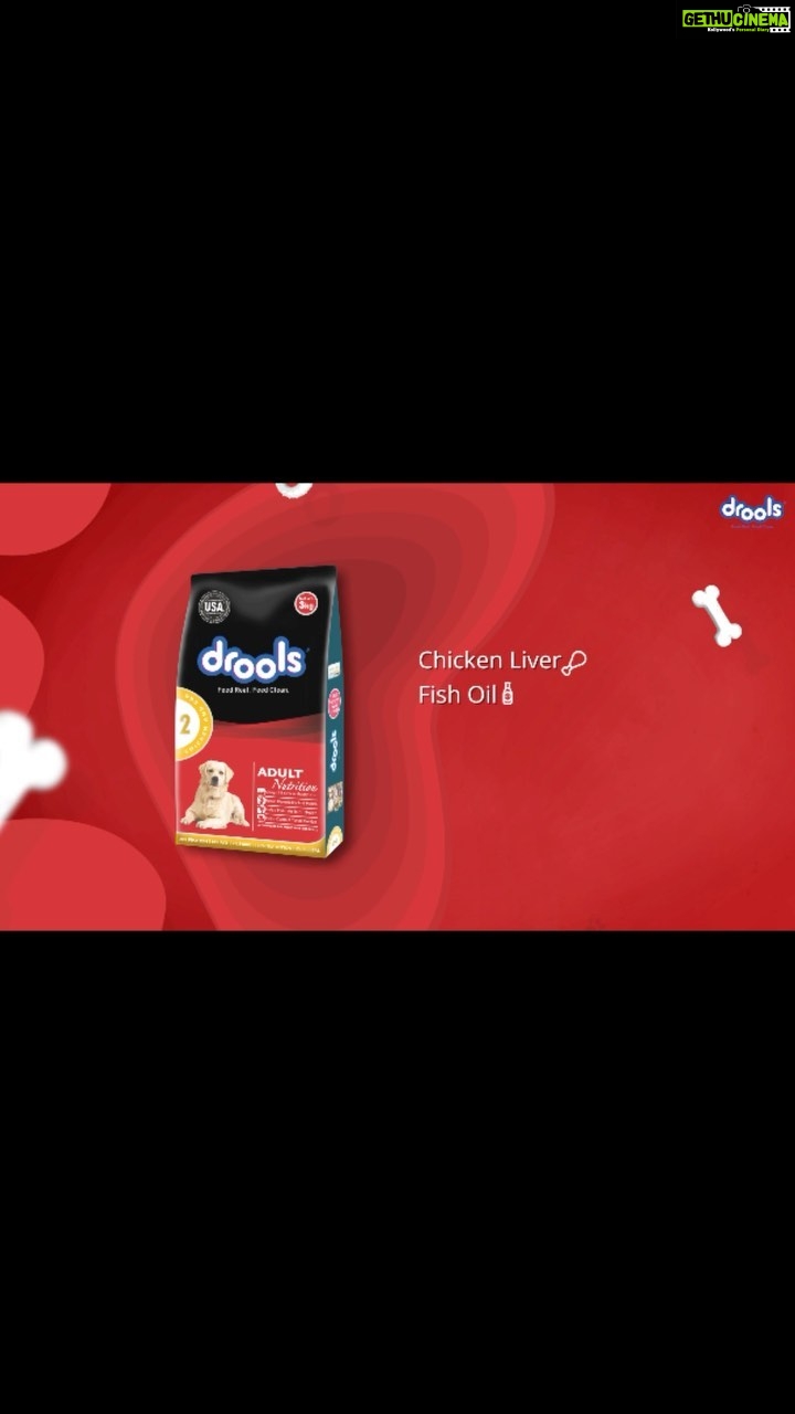 Rhea Chakraborty Instagram - Just how we make sure we’re getting all the right nutrients in our diet, it’s important to do the same for our furry babies! Always check the ingredients list at the back of the pack to ensure that your beloved pets receive wholesome clean nutrition. With only the highest quality ingredients, @droolsindia provides meals that you can trust for your loved ones! Feed Real, Feed Clean. Feed Drools ❤️🐾