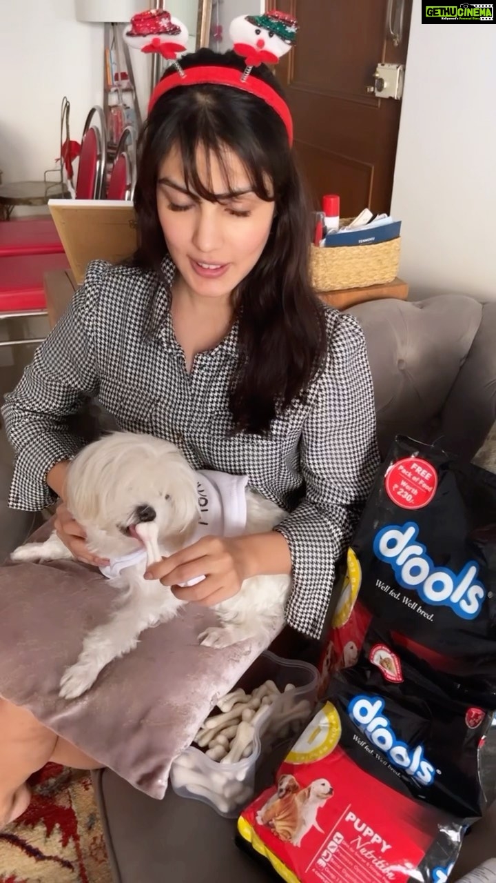 Rhea Chakraborty Instagram - Wishing you all a Merry Christmas 🎄 May yours be furry and bright! Thankyou @droolsindia for being our Santa Claus 💕