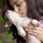 Rhea Chakraborty Instagram - Had the most heartwarming morning with these beautiful puppies @worldforallanimaladoptions 💗 The team here works tirelessly to rescue our furry friends, provide them the right treatments , give them shelter and food . Please help them out with whatever you can . Some of these beautiful pups are up for adoption too and need a home . Hope we can show them some kindness 🙏 My love and respect to @shazamorani and @taronishbulsara for making this their mission ! 🙏 Let’s make it a world for all 🌸💗 #adoptdontshop #puppylove Song - Emilee - Heaven Thanks @shreyfilms for capturing these moments .