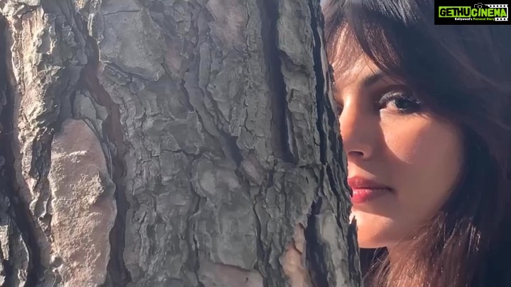 Rhea Chakraborty Instagram - Travel memoirs of #rheality π¦πΌπ
