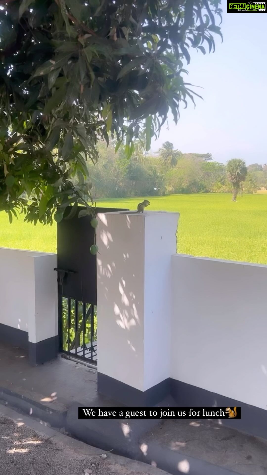 Rithika Tamil Selvi Instagram - Unexpected guest 🐿️