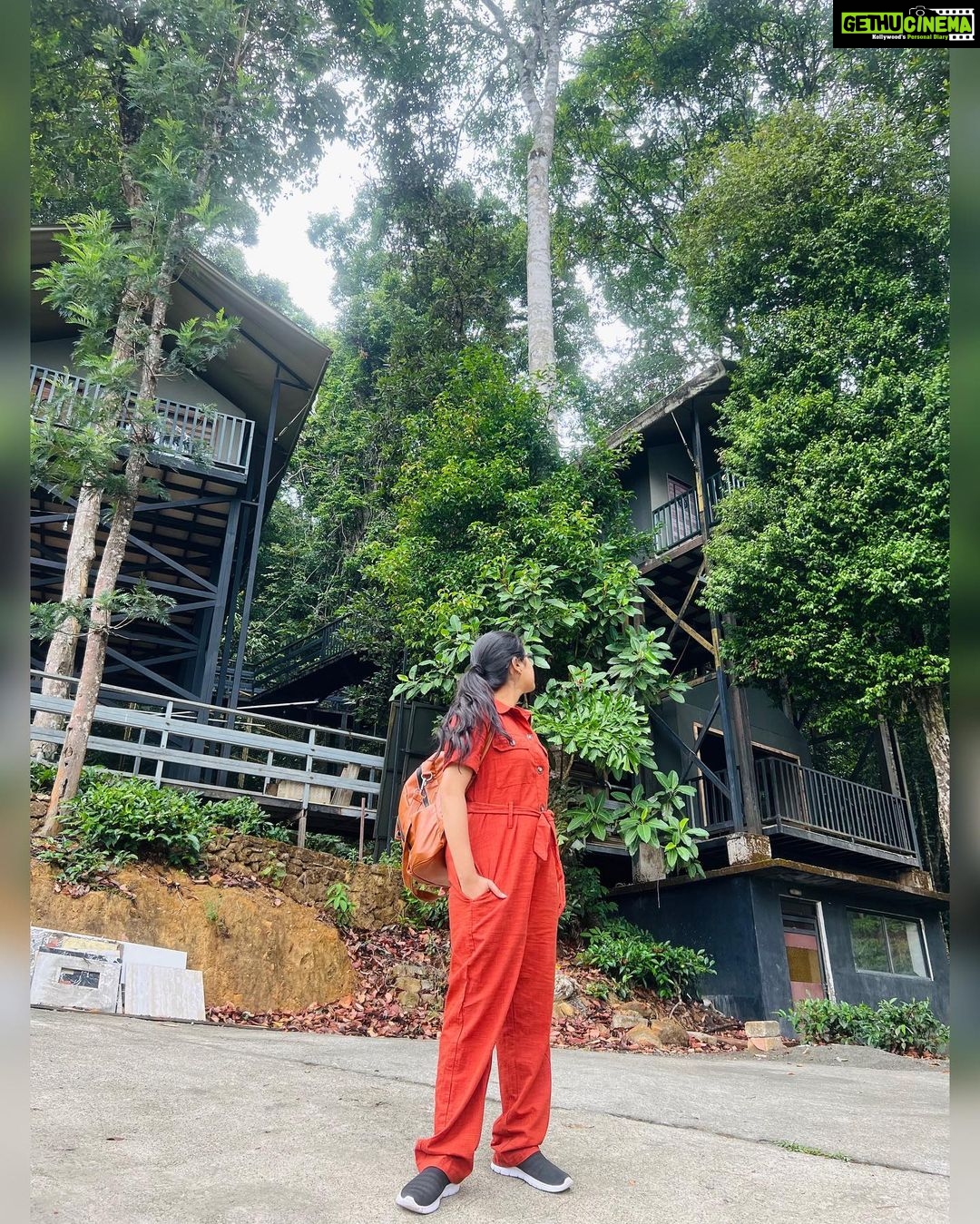 Rithika Tamil Selvi Instagram - Peace can be found in every piece of nature 🌿✌️ property @wildplanetresort Travel partner @tripstoluxury #tamil_rithika #rithika #rithikavijaytv #vijaystars #vijaytelevision #vacation #tamilnadutourism #wildplanet #wildplanetresort #vacationmode Wild Planet