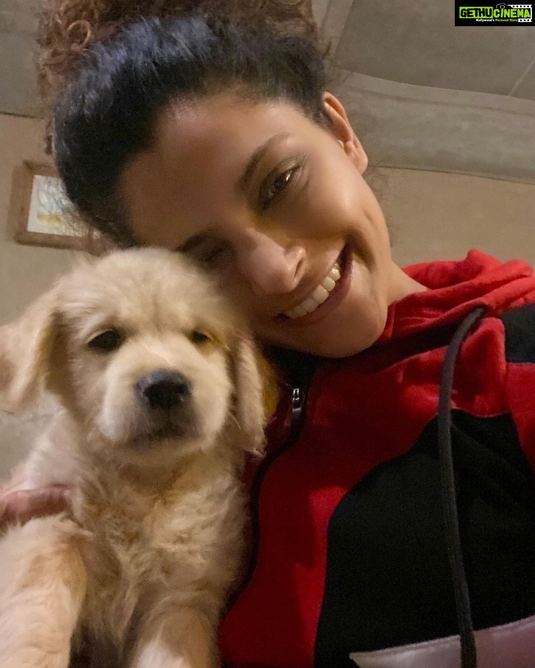 Saiyami Kher Instagram - Missing this company 🐶