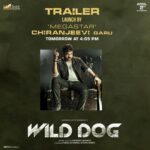 Saiyami Kher Instagram – Megastar @chiranjeevikonidela garu will launch the #WildDogTrailer tom. So grateful. Stay tuned!

#AcharyaForWildDog
#WildDogOnApril2nd 
#WildDog

#akkineninagarjuna #chiranjeevi @ahishor @musicthaman @diamirzaofficial @saiyami @shaneildeo @i.ali.reza @onelifeitis @prakashsudarshanofficial @nm_pasha @matineeents