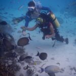 Samskruthy Shenoy Instagram - #skuba #wonderful experience