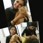 Sana Amin Sheikh Instagram - My Cousin @shariq313 's Cat 'Moezza' .. #Surat