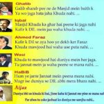 Sana Amin Sheikh Instagram - This is what my Teetotaler Husband has to add in this list of Mehkhaaney ki Shayari.. #MereShoharShayarBhiHain #Revelation #Ghalib