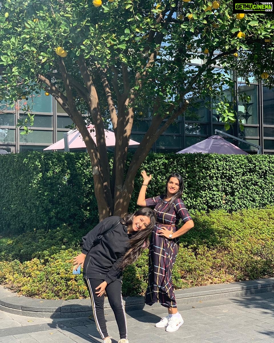 Sana Amin Sheikh Instagram - That #pomello Tree... @iammeenaljain #Shanghai