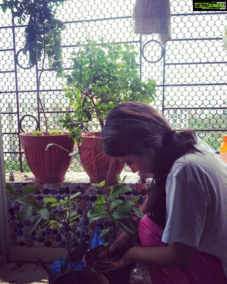 Sana Amin Sheikh Instagram - Planting a few more.. New passion for plants.. #GrowMoreTrees I think even if each one of us grows one tree in a life time.. the world would be a better place to live in.. ♡