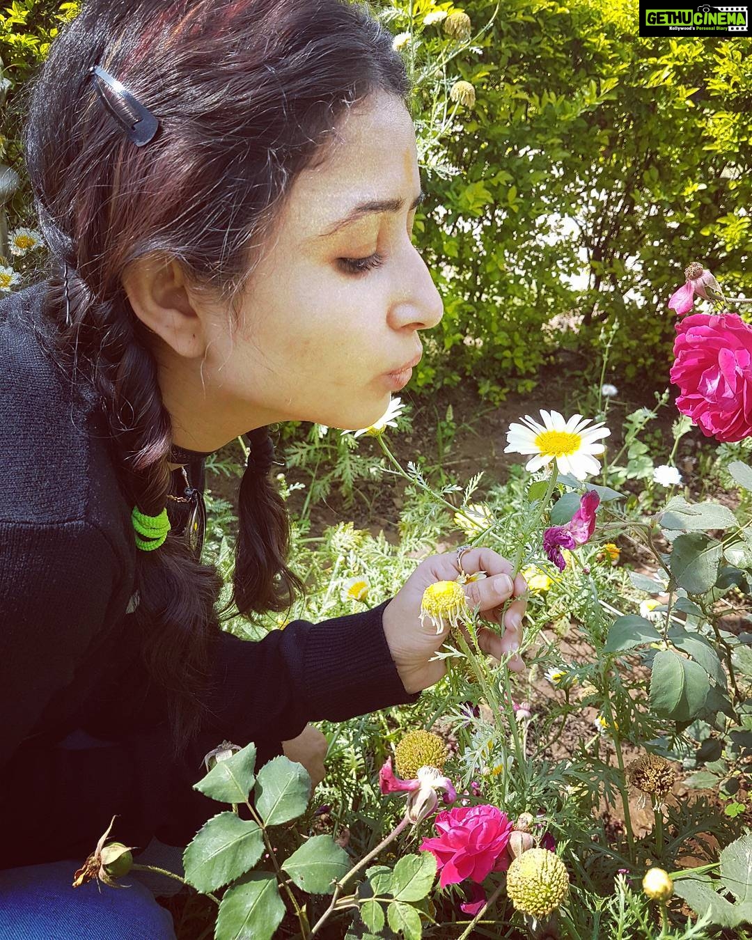 Sana Amin Sheikh Instagram - #Gwalior for #SonuNigamLiveInConcert 15.3.17 Taj Hotel Usha Kiran Palace