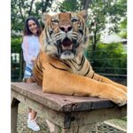 Sana Makbul Instagram - I got the eye of the Tiger 🐯 #happybirthday