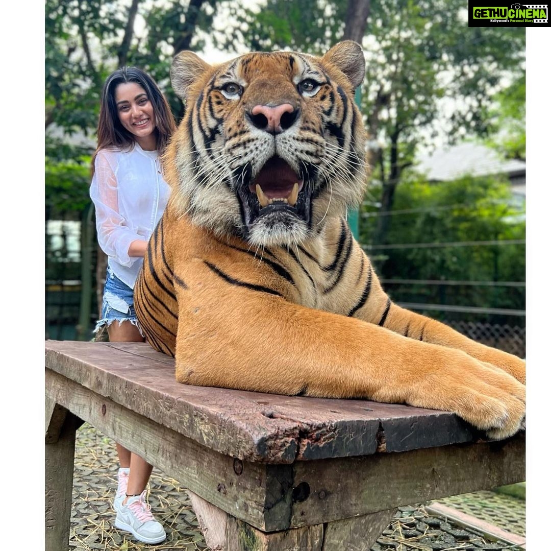 Sana Makbul Instagram - I got the eye of the Tiger 🐯 #happybirthday