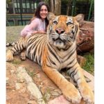 Sana Makbul Instagram - I got the eye of the Tiger 🐯 #happybirthday