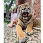 Sana Makbul Instagram – I got the eye of the Tiger 🐯 
#happybirthday