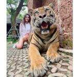 Sana Makbul Instagram - I got the eye of the Tiger 🐯 #happybirthday