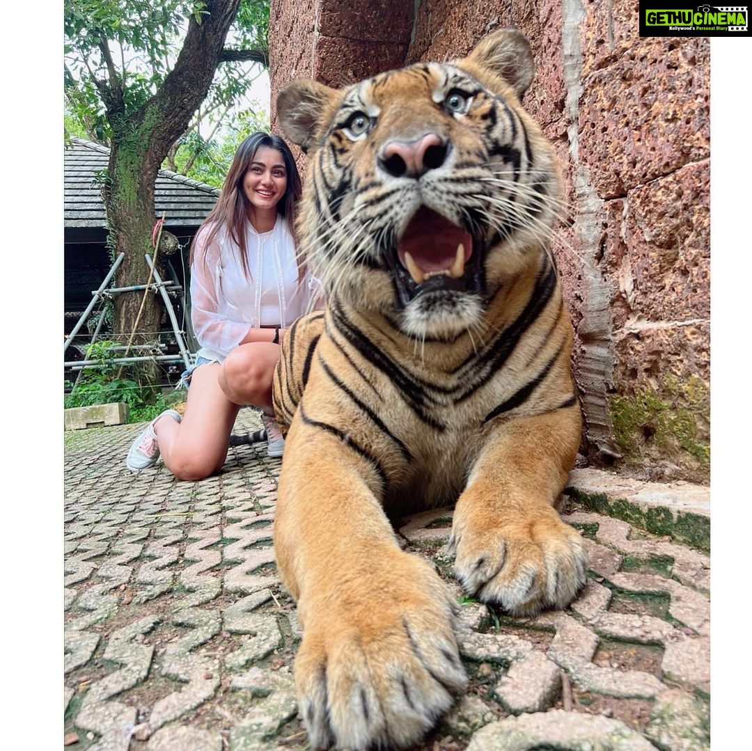 Sana Makbul Instagram - I got the eye of the Tiger 🐯 #happybirthday