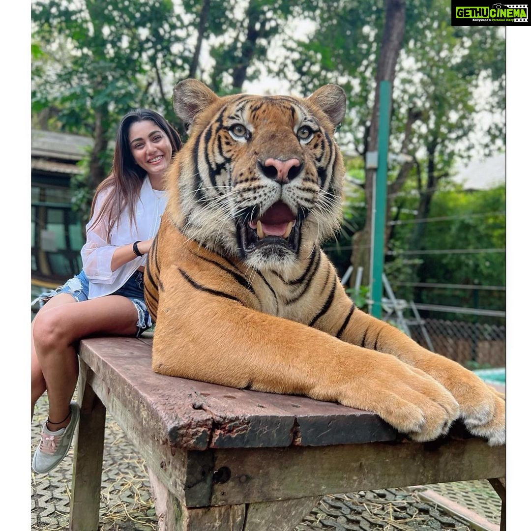 Sana Makbul Instagram - I got the eye of the Tiger 🐯 #happybirthday