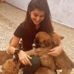 Sanjana Sarathy Instagram - Yeah I skipped to the good part…. 😍 @aishwariyaramesh thank you once again for making me meet all thiss floooooff 🥺 . . #sanjanasarathy #happiness #puppylife #puppies #peace