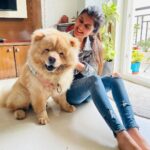 Sanjana Sarathy Instagram – Yess he’s real and yes he smiles for photos, 🥺. Here take some flooof attack. This cloud made my crazy morning so much better 💛
.
.
. 
#chowchows #fluff #floof #dogsofinstagram #pupster #puppylove #squishy #bighugs #cutest