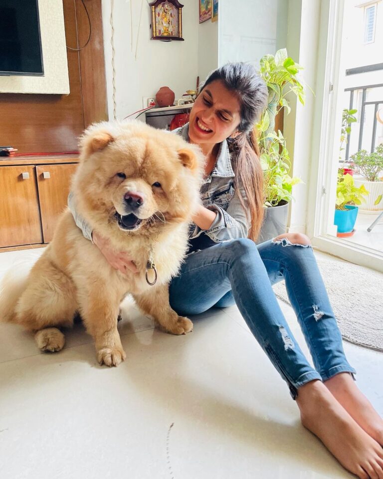 Sanjana Sarathy Instagram - Yess he’s real and yes he smiles for photos, 🥺. Here take some flooof attack. This cloud made my crazy morning so much better 💛 . . . #chowchows #fluff #floof #dogsofinstagram #pupster #puppylove #squishy #bighugs #cutest