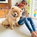 Sanjana Sarathy Instagram – Yess he’s real and yes he smiles for photos, 🥺. Here take some flooof attack. This cloud made my crazy morning so much better 💛
.
.
. 
#chowchows #fluff #floof #dogsofinstagram #pupster #puppylove #squishy #bighugs #cutest