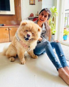 Sanjana Sarathy Instagram - Yess he’s real and yes he smiles for photos, 🥺. Here take some flooof attack. This cloud made my crazy morning so much better 💛
.
.
. 
#chowchows #fluff #floof #dogsofinstagram #pupster #puppylove #squishy #bighugs #cutest