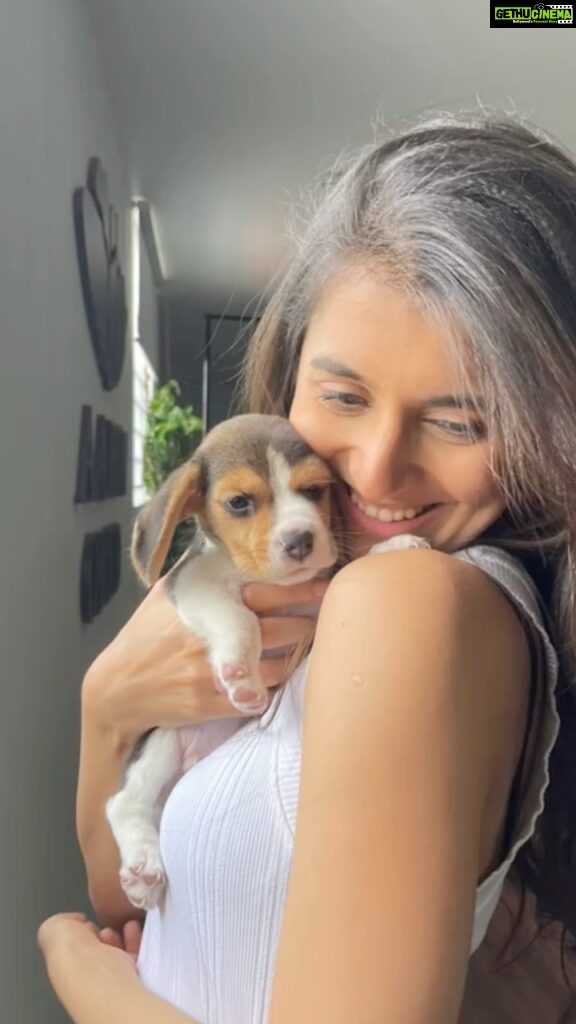 Sanjana Sarathy Instagram - “ I know you’re somewhere out theree“. I WANTT🥺. Wish he was mine. This peanut is a heartbreaker omg ❤ . . . Make up : @chisellemakeupandhair . Hair : @vyshalisundaram_hairstylist 📸 : @mickey__creations . . #dogs #puppies #puppylove #instagood #reels #reelsinstagram #puppyoftheday #cutiepie #myheart #doll #love