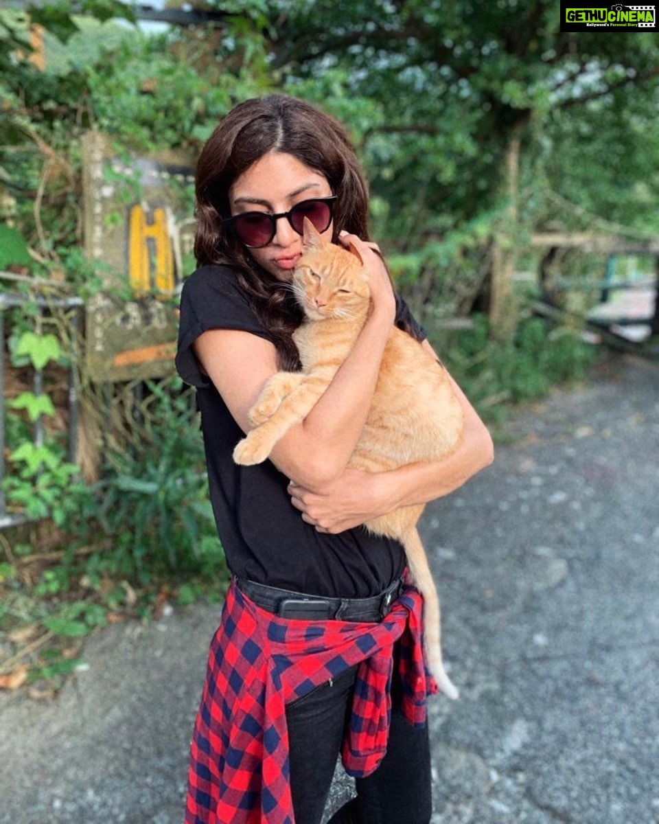 Sapna Pabbi Instagram - Luna Di Bhain @mallikadua 😻📸 @boseshankar21 #lovetaiwan 🇹🇼 吉祥天燈 Happy Lantern
