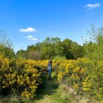Sarah Jane Dias Instagram - what a wonderful world... . #traveldiaries #travelgram #travel #girlsgottatravel #forest #traveluk #uktravel #travelbritain #forestvibes Coombe Hill, Buckinghamshire